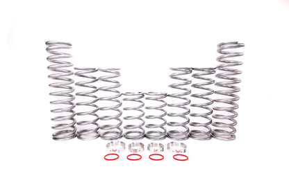 Shock Therapy Dual Rate Spring Kit (DRS) for Polaris RS1
