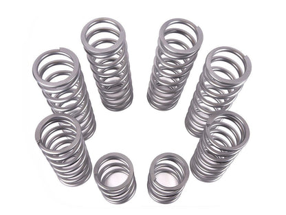 Shock Therapy Dual Rate Spring Kit (DRS) for Polaris RZR Pro R