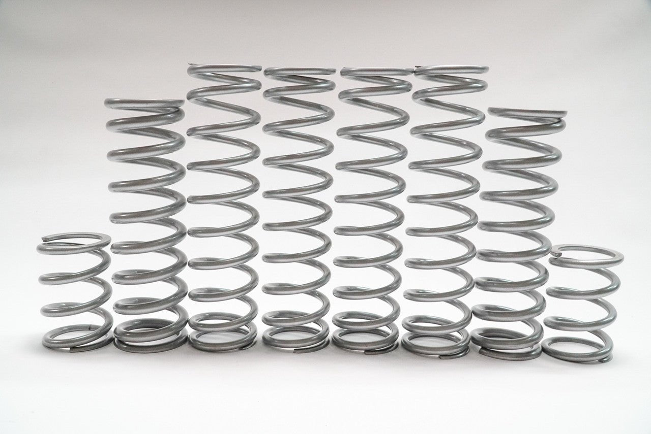 Shock Therapy Dual Rate Spring Kit (DRS) for Polaris RZR Pro R