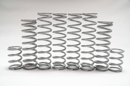 Shock Therapy Dual Rate Spring Kit (DRS) for Polaris RZR Pro R