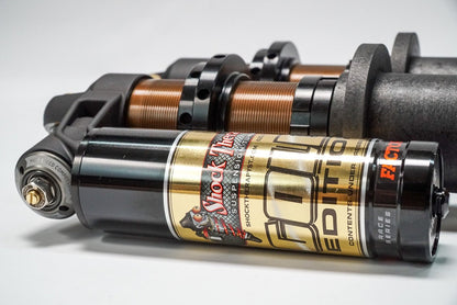 Shock Therapy RC2 Shocks for Polaris XP RS1