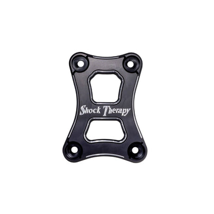Shock Therapy Radius Pull Plate for RZR Pro R