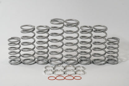 Shock Therapy Ride Improvement System "RIS" for RZR Turbo R