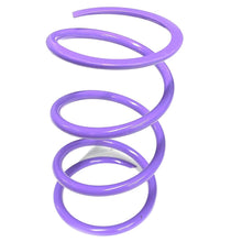 Aftermarket Assassins RS1 Secondary Springs for 2016-20 RZR Turbo